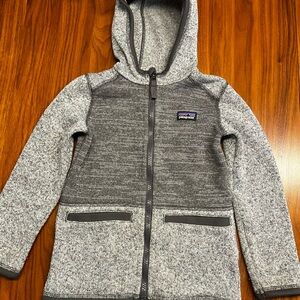 Patagonia Better Sweater Hoodie